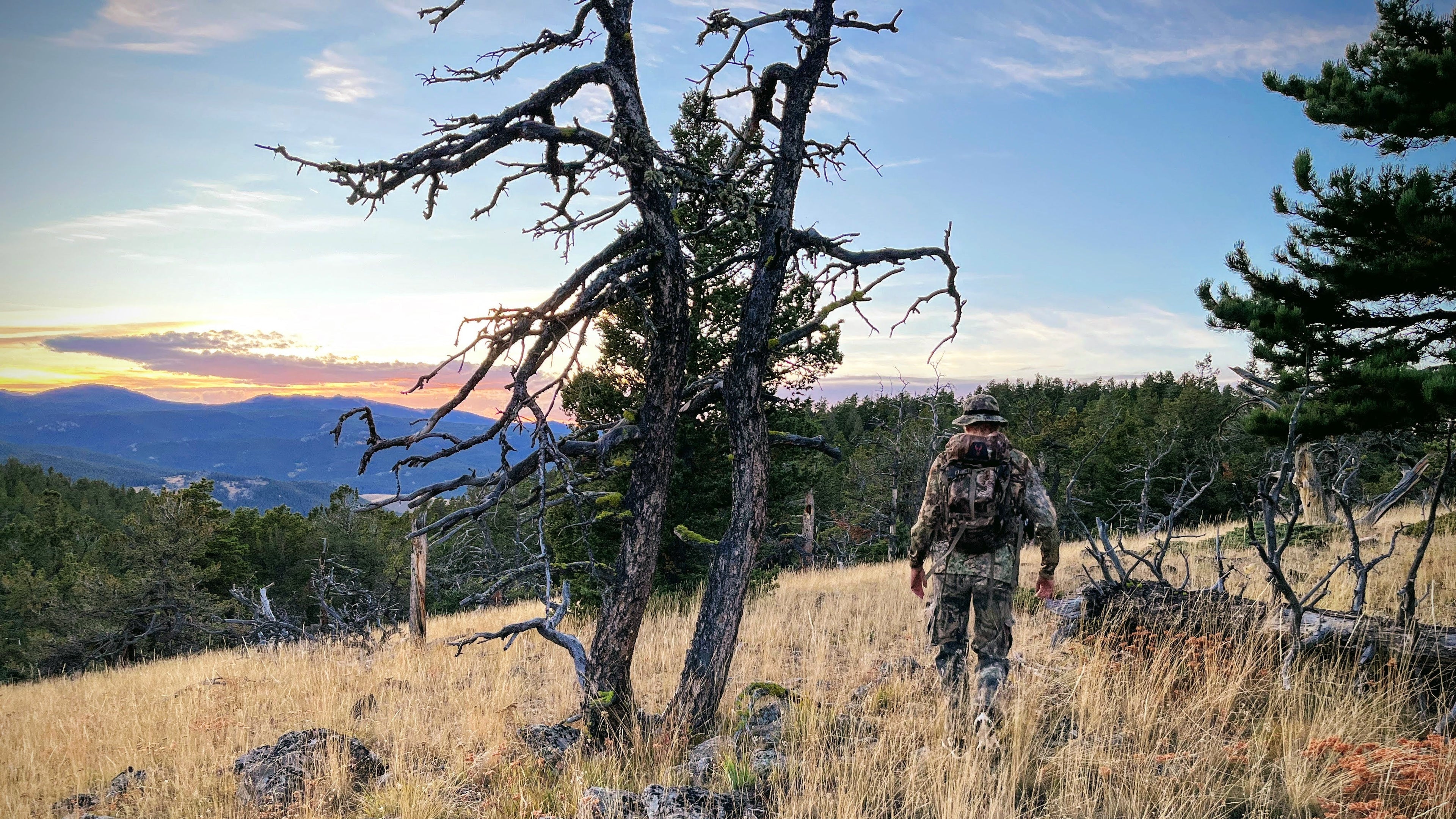 Person in camouflage walking through a field with trees and mountains in the background